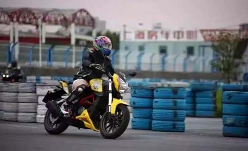 小黄龙的大战略--高性价比决胜准大排市场