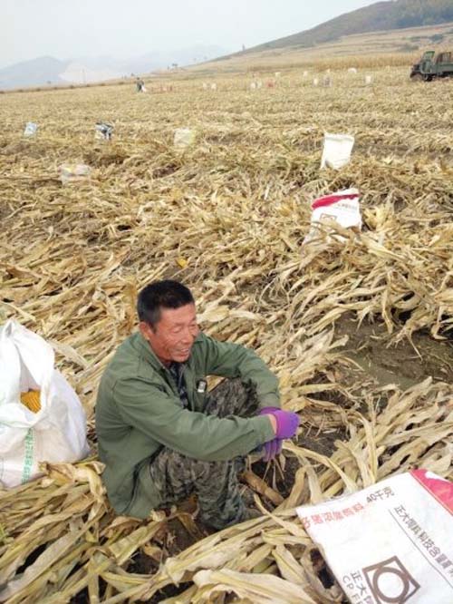 辽宁:粮企欢迎改革粮农企盼价涨 汽车市场网